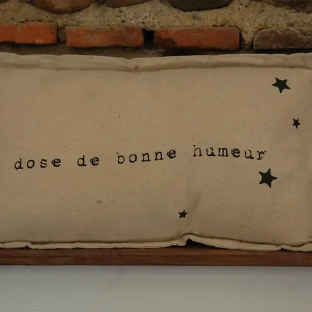 Hotel Domaine Saint Esselin Larreule