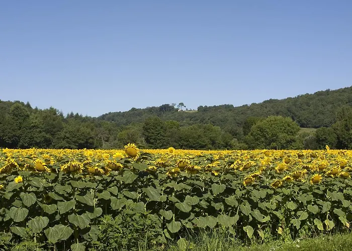 Hotel Domaine Saint Esselin