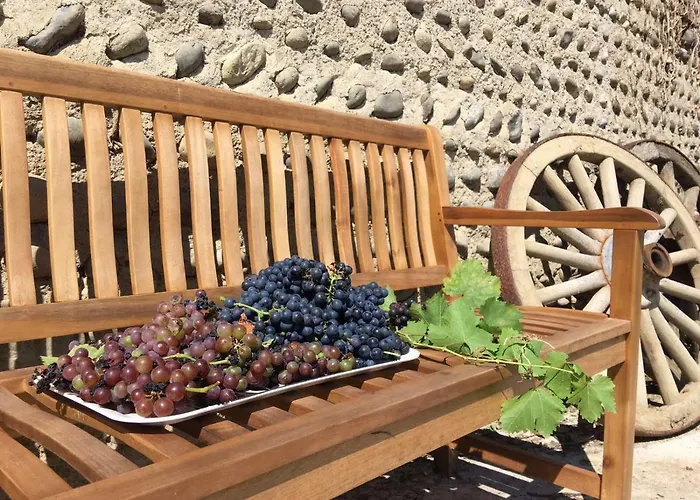 Domaine Saint Esselin * Larreule