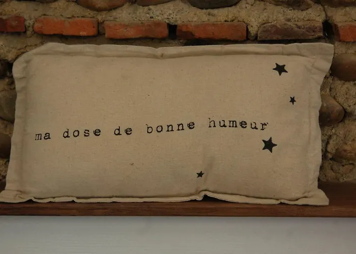 Hotel Domaine Saint Esselin Larreule