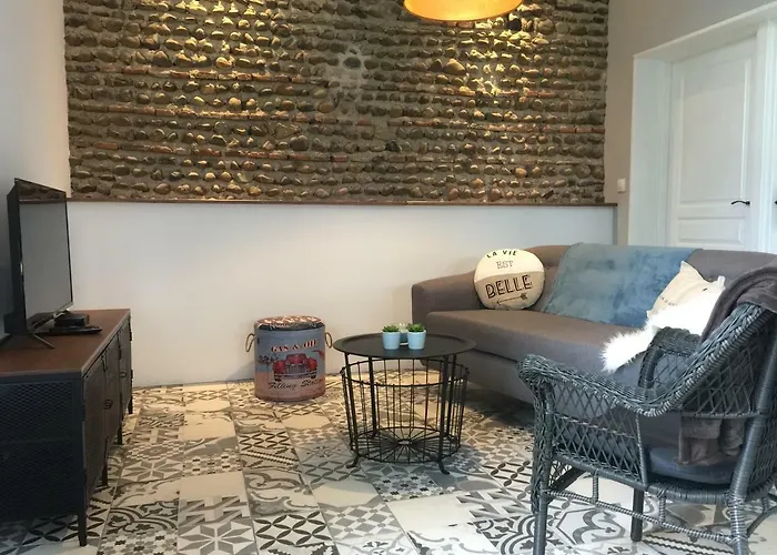 Hotel Domaine Saint Esselin Larreule